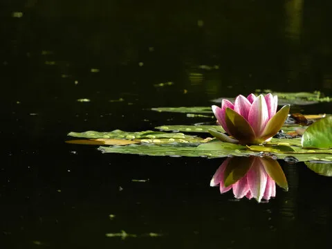 数据导出与对照示意